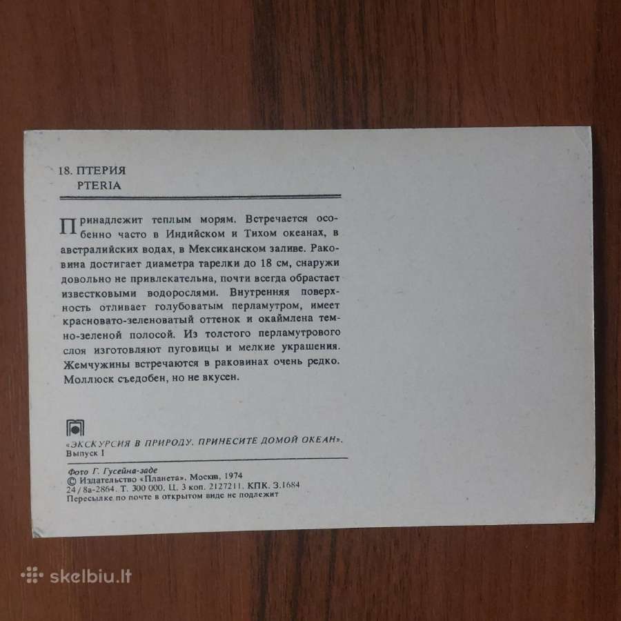 Atvirukų rinkinys - Jūros kriauklės ( 25 atv. ) - nuotraukos Nr. 7