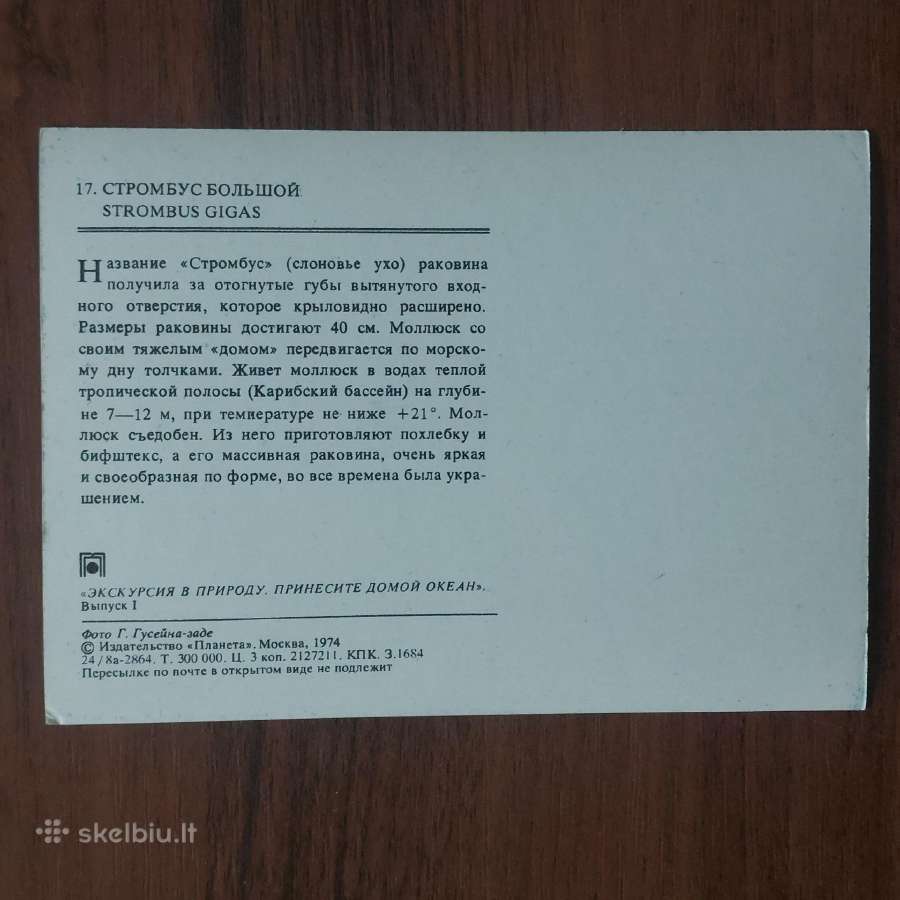 Atvirukų rinkinys - Jūros kriauklės ( 25 atv. ) - nuotraukos Nr. 8