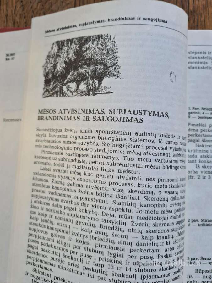Medžiotojo vaišės (B. Kačkus) - nuotraukos Nr. 4