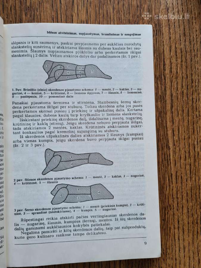 Medžiotojo vaišės (B. Kačkus) - nuotraukos Nr. 5