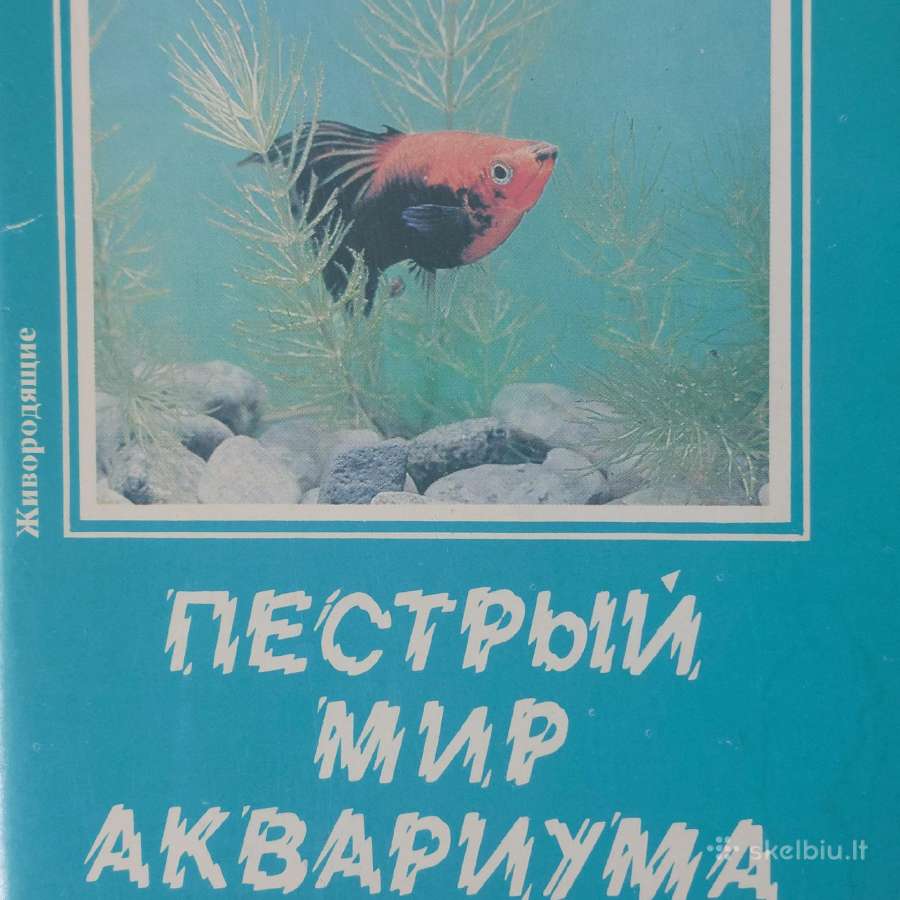 Atvirukų rinkinys - Akvariumo pasaulis ( žuvys ) - nuotraukos Nr. 3