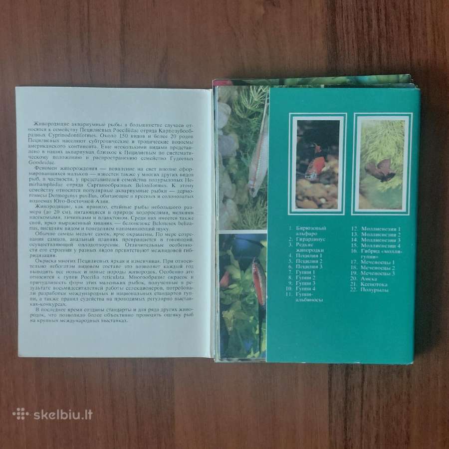 Atvirukų rinkinys - Akvariumo pasaulis ( žuvys ) - nuotraukos Nr. 6