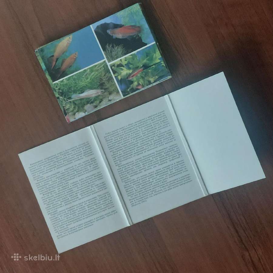 Atvirukų rinkinys - Akvariumo pasaulis ( žuvys ) - nuotraukos Nr. 7