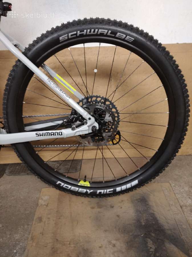 Dviracio padanga schwalbe