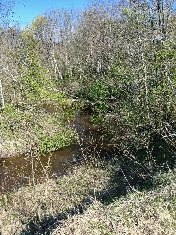 Sodyba Namas Vienkiemis Gamta ir Ramybė - nuotraukos Nr. 12