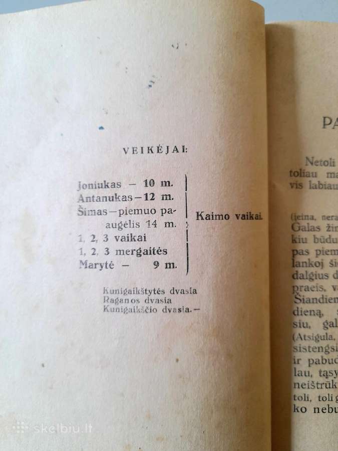 "Scenos Vaizdeliai Vaikų Teatrui" 1924m. - nuotraukos Nr. 8