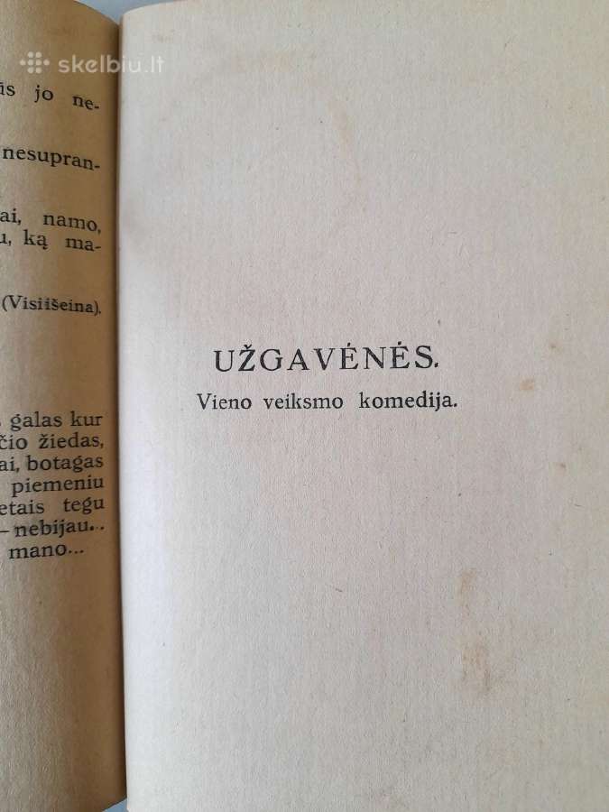 "Scenos Vaizdeliai Vaikų Teatrui" 1924m. - nuotraukos Nr. 9