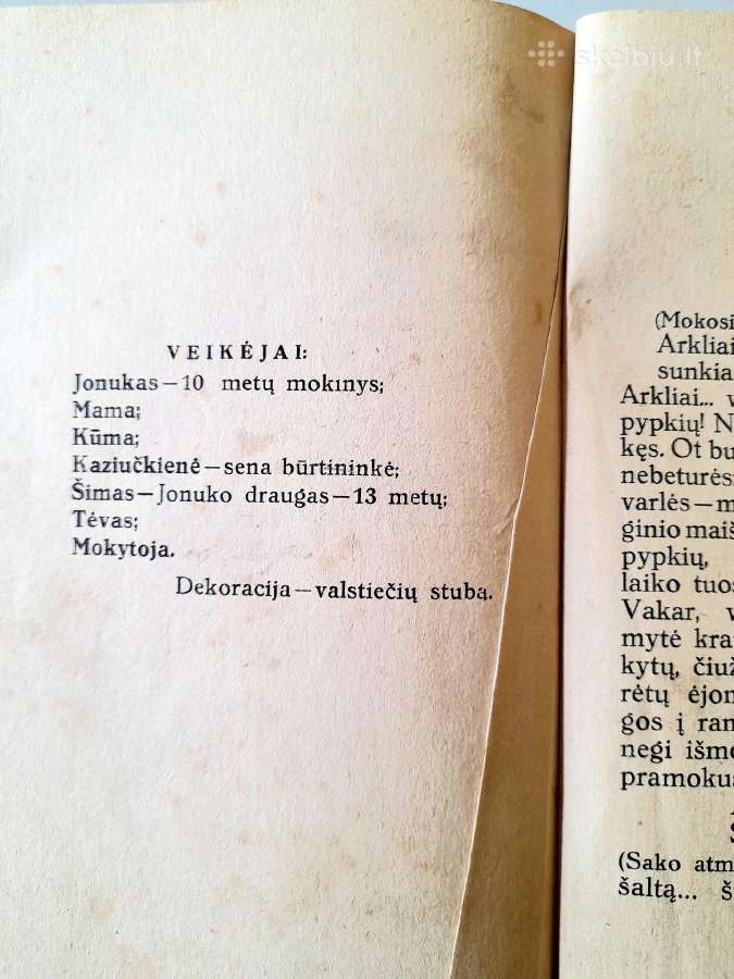 "Scenos Vaizdeliai Vaikų Teatrui" 1924m. - nuotraukos Nr. 12