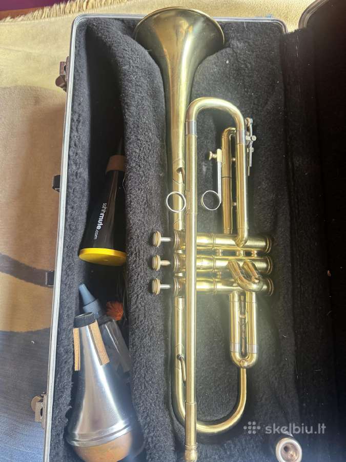Trimitas King 601