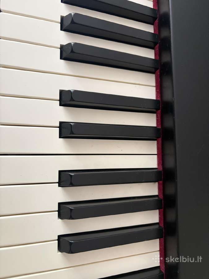 Roland F-20 pianinas - nuotraukos Nr. 3