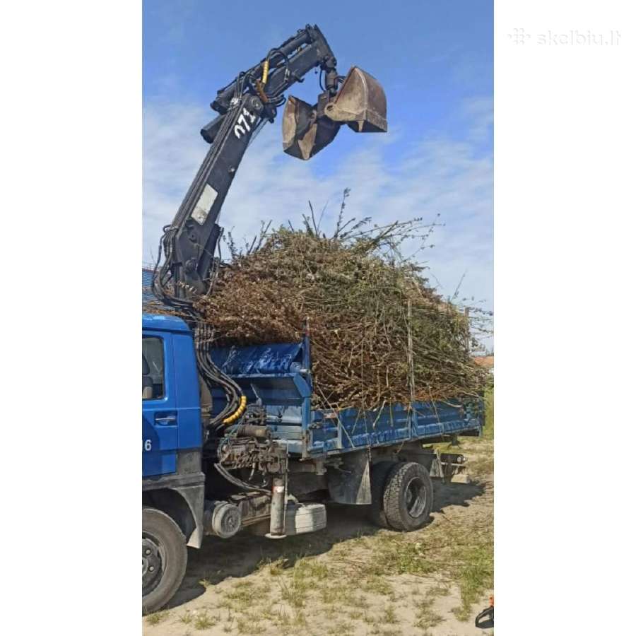 Medžių pjovimas kelmų frezavimas naikinimas - nuotraukos Nr. 3