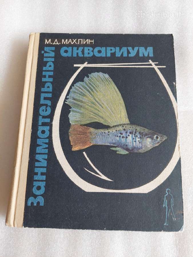 Занимательный аквариум