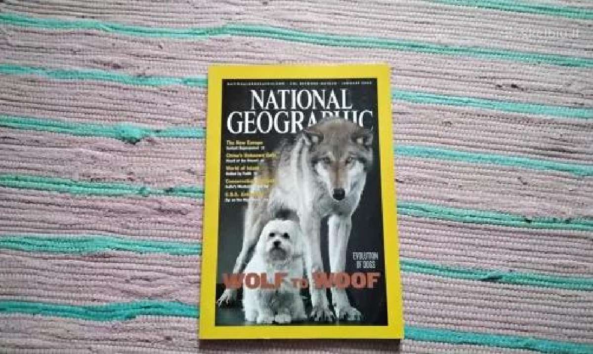National Geographic - nuotraukos Nr. 5