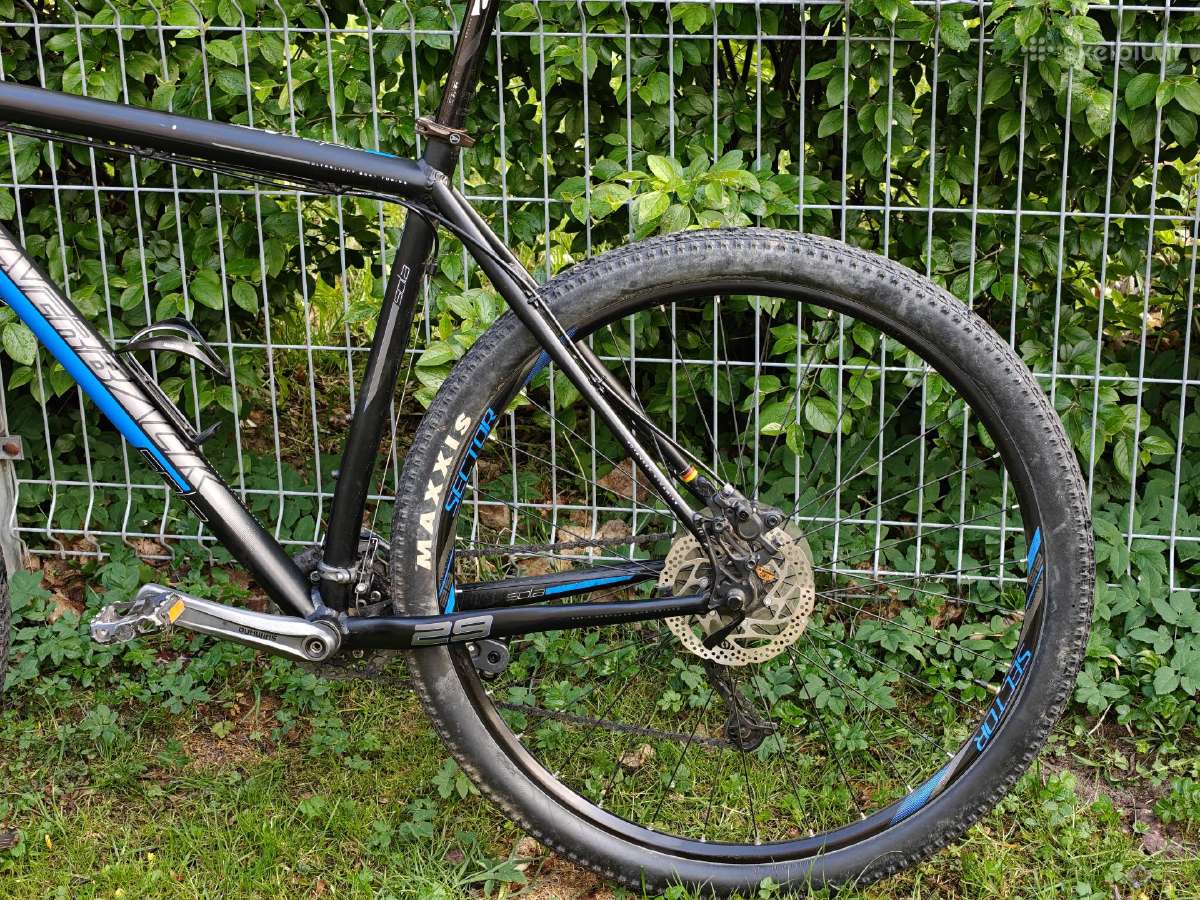 Silverback Sola 4 XL - nuotraukos Nr. 8
