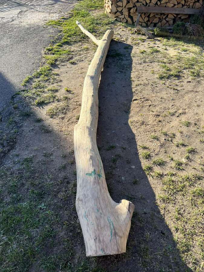 Ąžuolų Rąsteliai