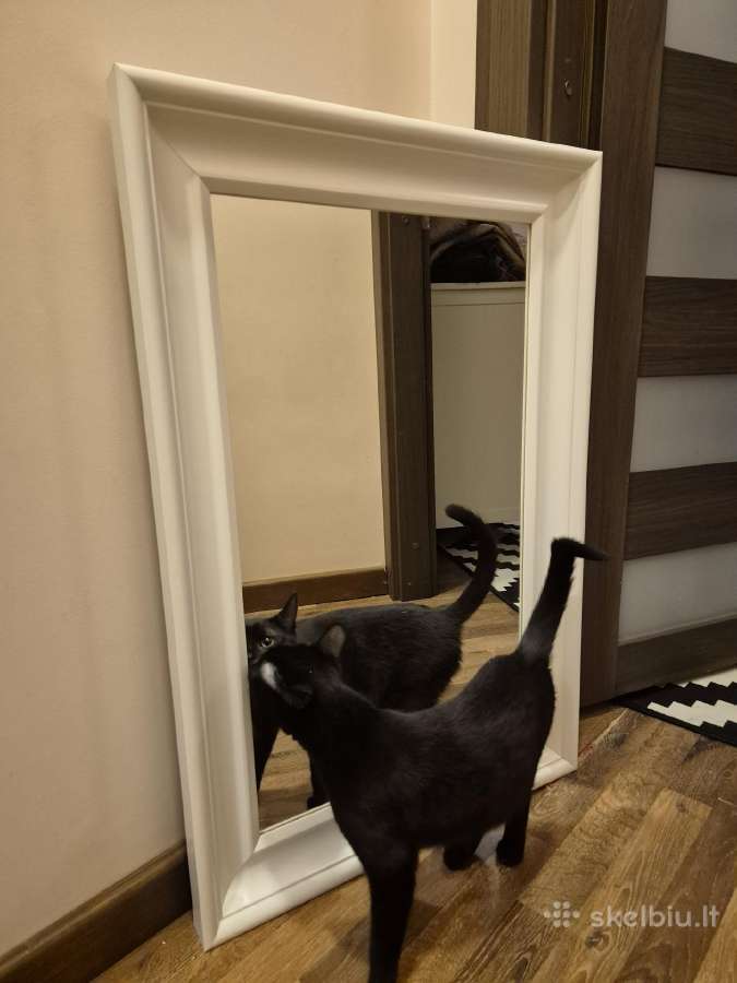 Veidrodis Hemnes ikea