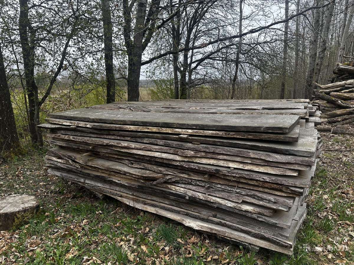 Ąžuolo blankės