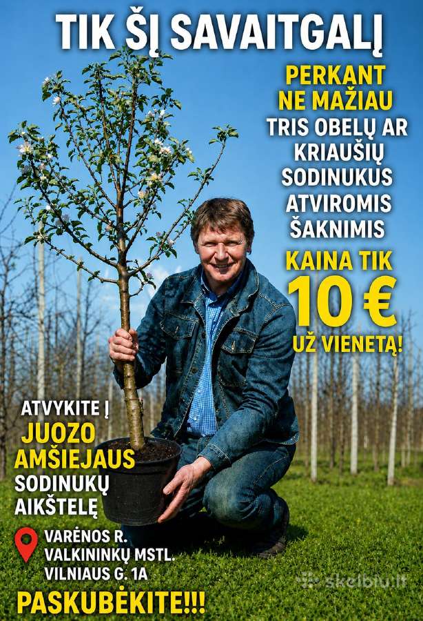 Amšiejaus Juozo vaismedžių, vaiskrūmių medelynas - nuotraukos Nr. 16