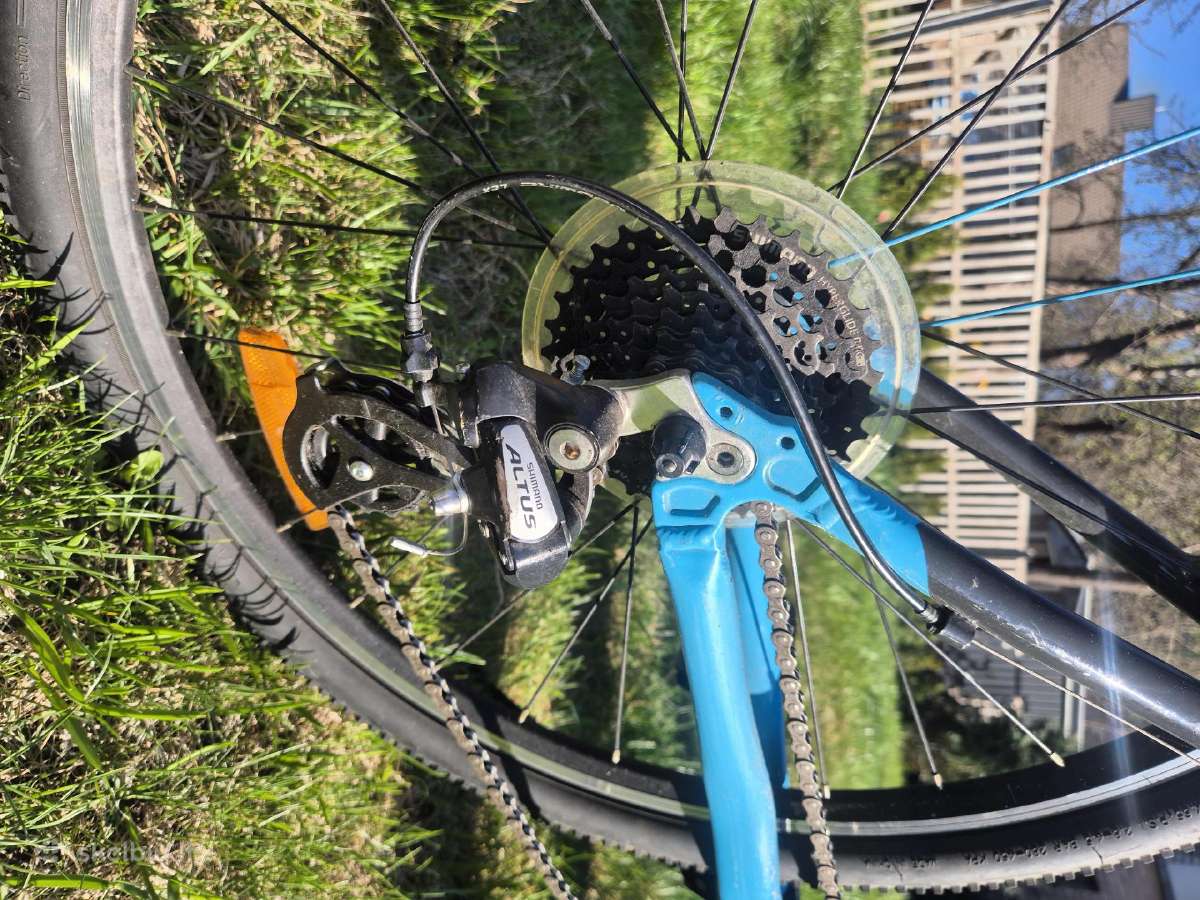 Hibridinis Frog bike Sky team 73 dviratis - nuotraukos Nr. 3