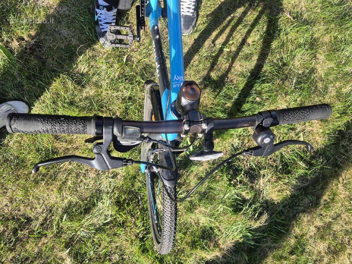 Hibridinis Frog bike Sky team 73 dviratis - nuotraukos Nr. 4