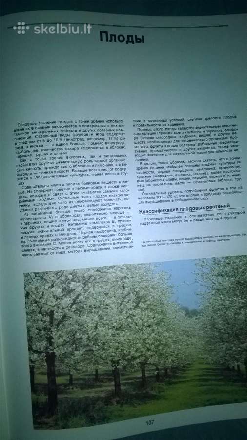 Sodų Enciklopedija - nuotraukos Nr. 2
