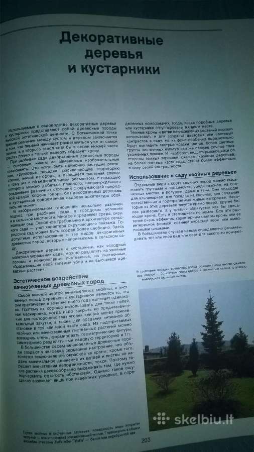 Sodų Enciklopedija - nuotraukos Nr. 8