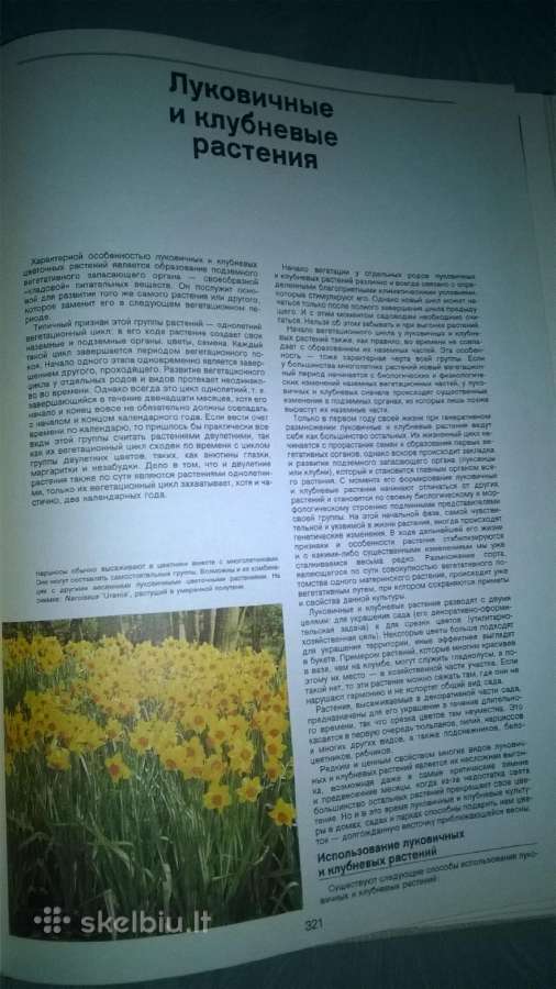 Sodų Enciklopedija - nuotraukos Nr. 16