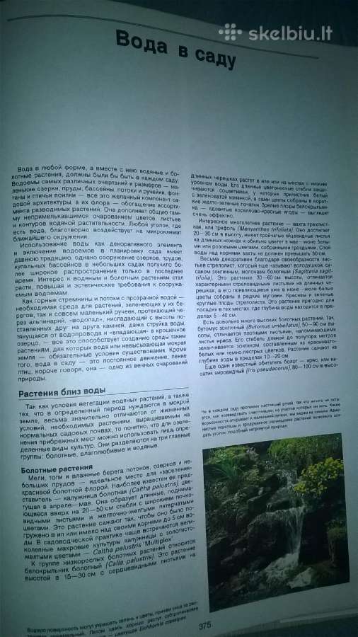 Sodų Enciklopedija - nuotraukos Nr. 20