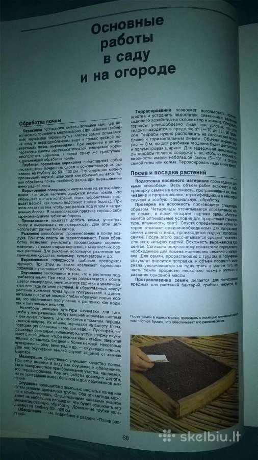 Sodų Enciklopedija - nuotraukos Nr. 24