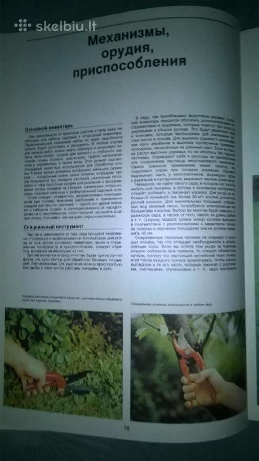 Sodų Enciklopedija - nuotraukos Nr. 25