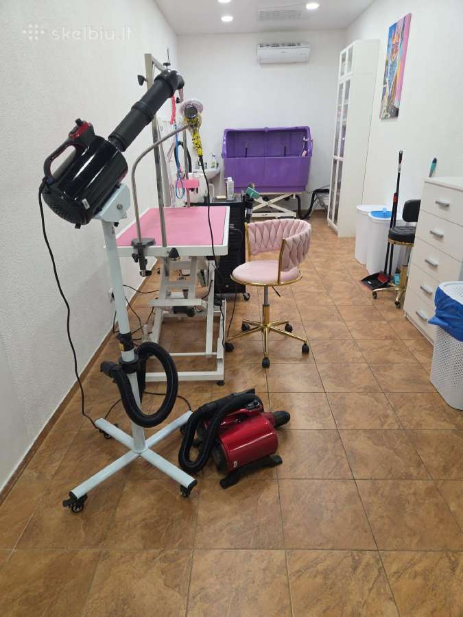Nuoma šunų kirpėjai