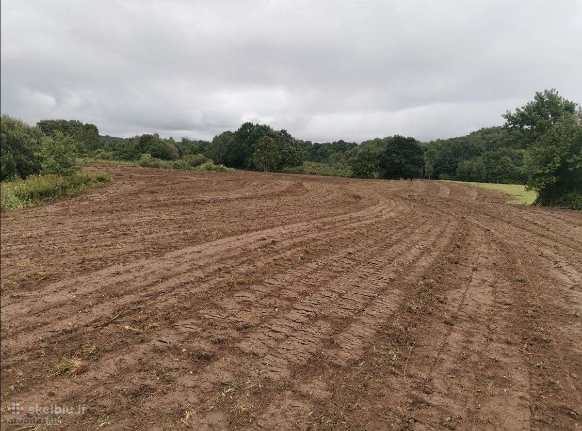 5,17 ha iki Šventosios 10min., iki Palangos 15min. - nuotraukos Nr. 20