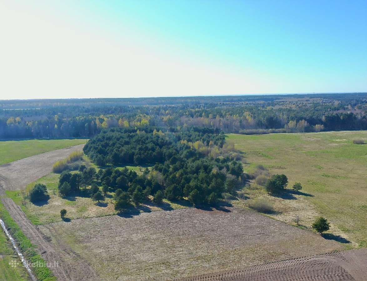5,17 ha iki Šventosios 10min., iki Palangos 15min. - nuotraukos Nr. 2