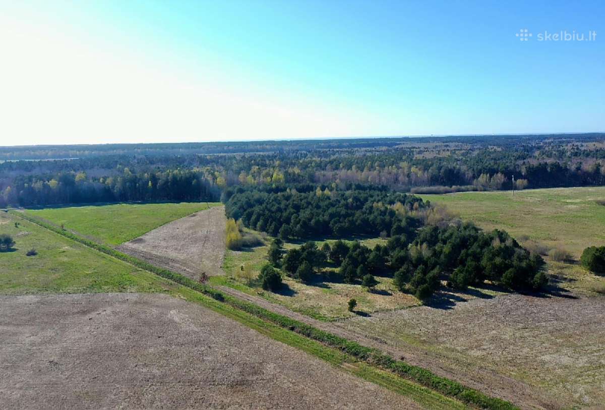 5,17 ha iki Šventosios 10min., iki Palangos 15min. - nuotraukos Nr. 3