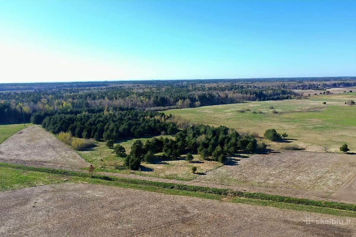 5,17 ha iki Šventosios 10min., iki Palangos 15min. - nuotraukos Nr. 8