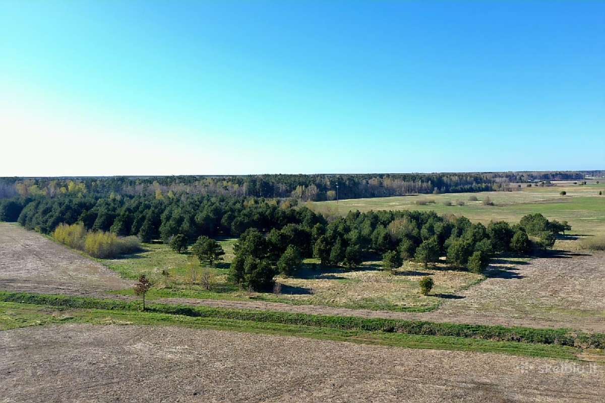 5,17 ha iki Šventosios 10min., iki Palangos 15min. - nuotraukos Nr. 4