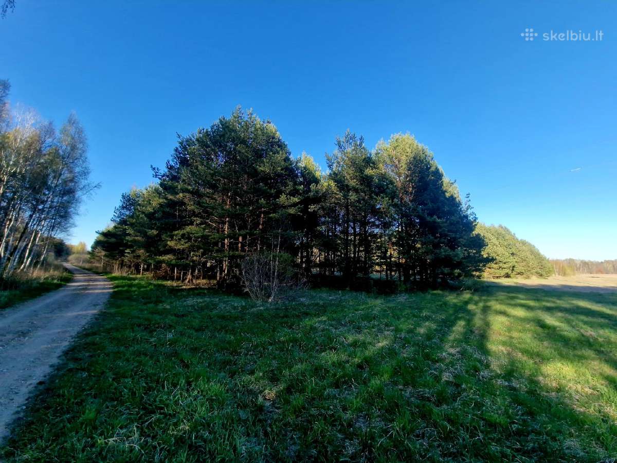 5,17 ha iki Šventosios 10min., iki Palangos 15min. - nuotraukos Nr. 6