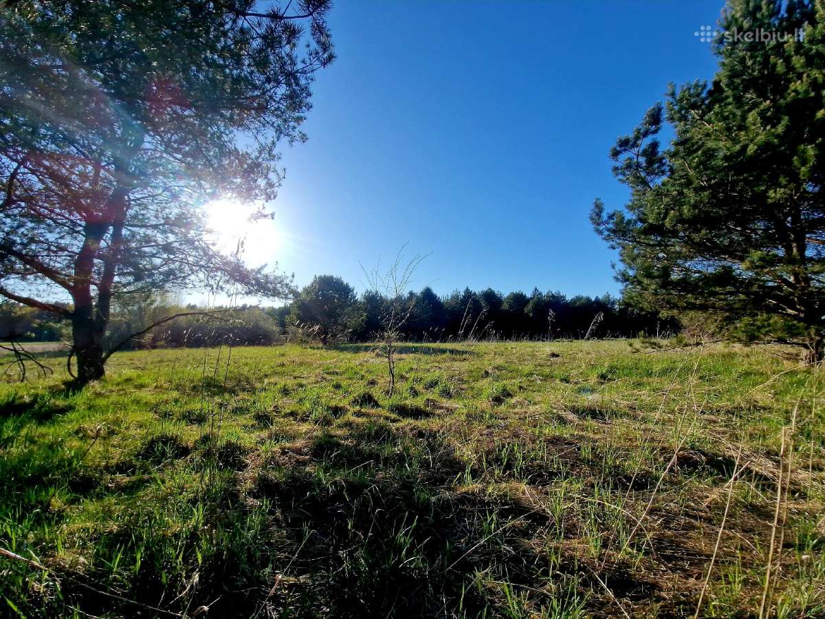 5,17 ha iki Šventosios 10min., iki Palangos 15min. - nuotraukos Nr. 7