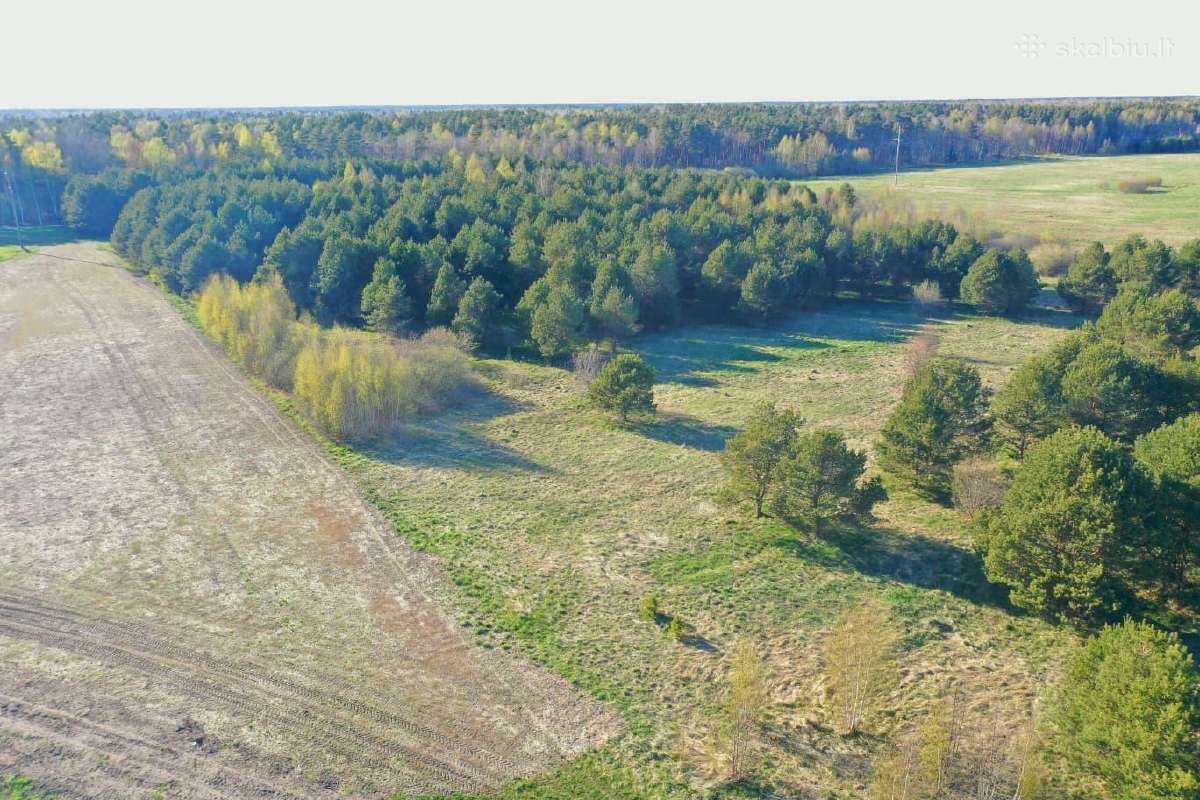 5,17 ha iki Šventosios 10min., iki Palangos 15min. - nuotraukos Nr. 9
