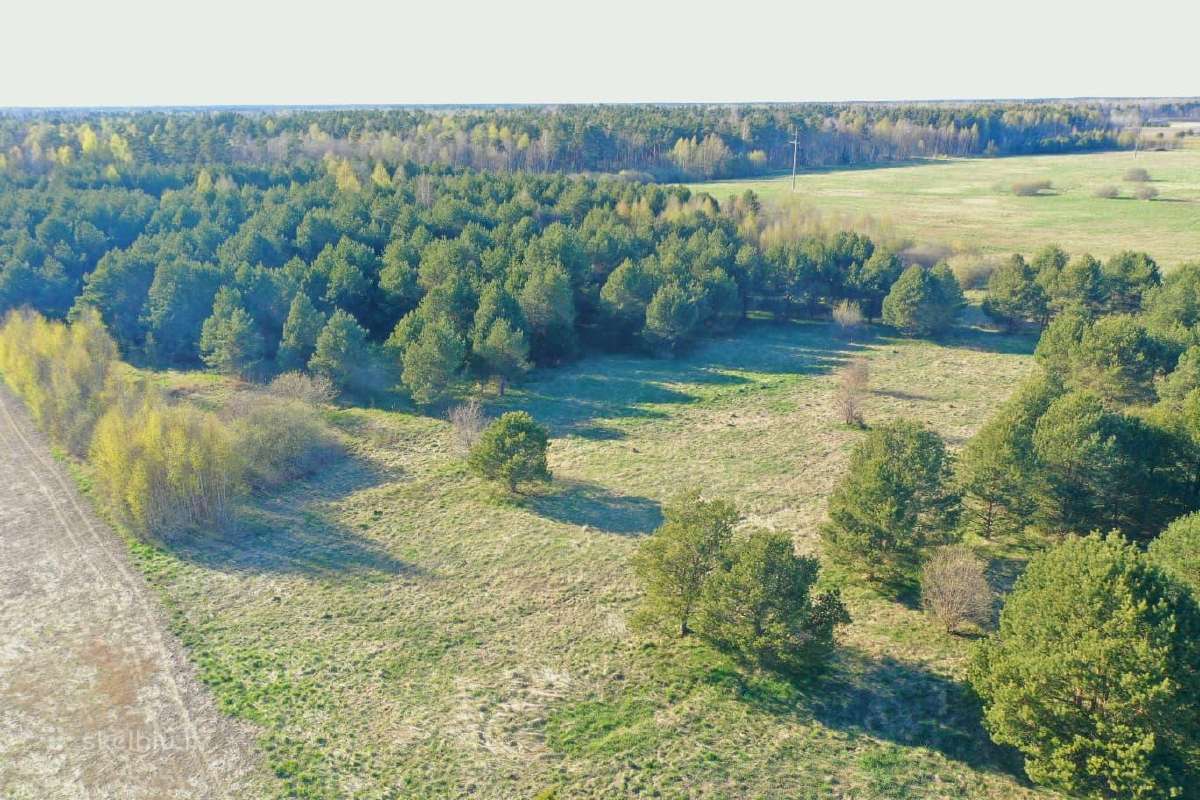 5,17 ha iki Šventosios 10min., iki Palangos 15min. - nuotraukos Nr. 17
