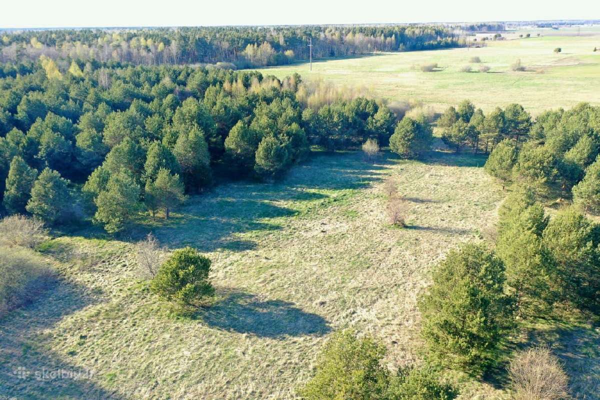 5,17 ha iki Šventosios 10min., iki Palangos 15min. - nuotraukos Nr. 19