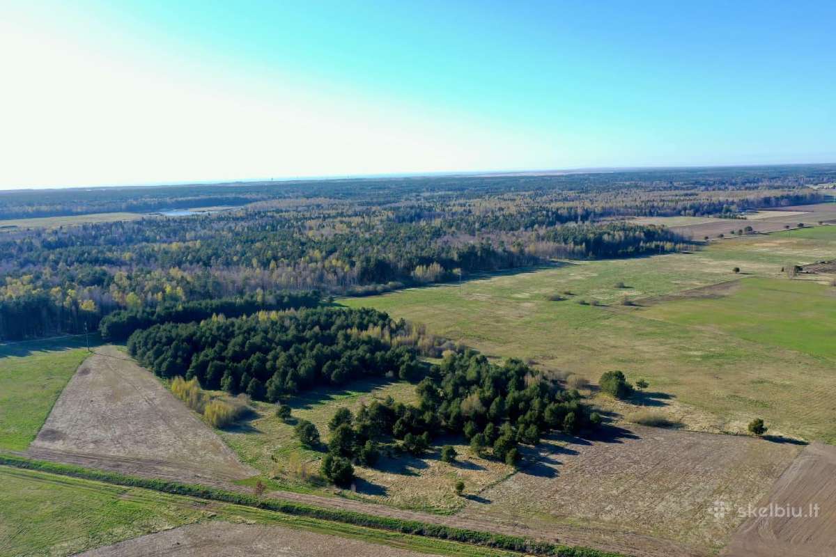 5,17 ha iki Šventosios 10min., iki Palangos 15min. - nuotraukos Nr. 11