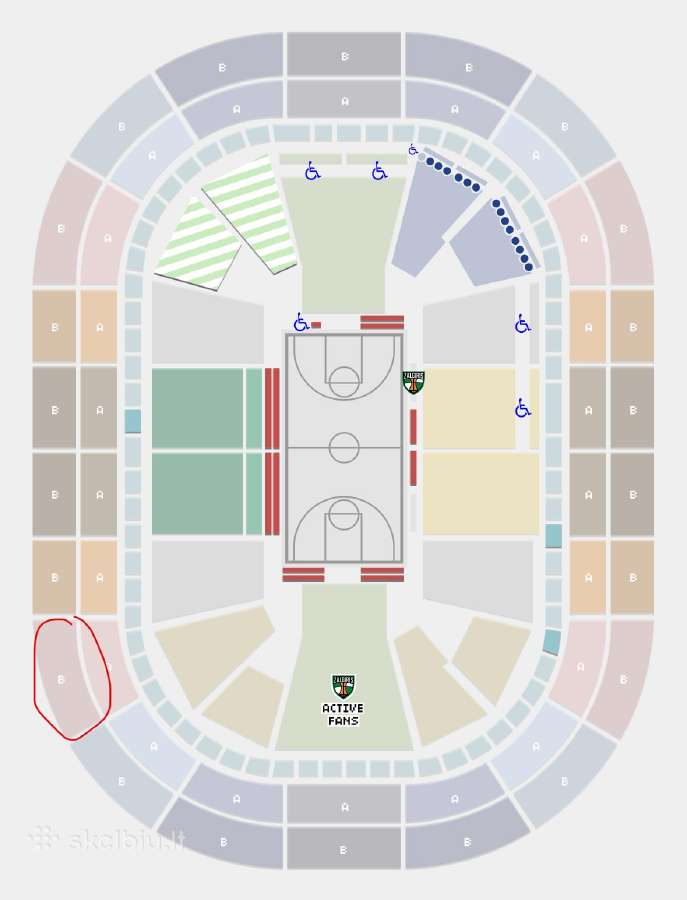 1 bilietas Žalgiris- Fenerbahce gegužės 8 diena