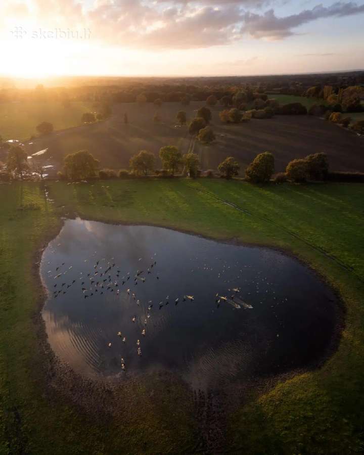 Drone photos for houses and more