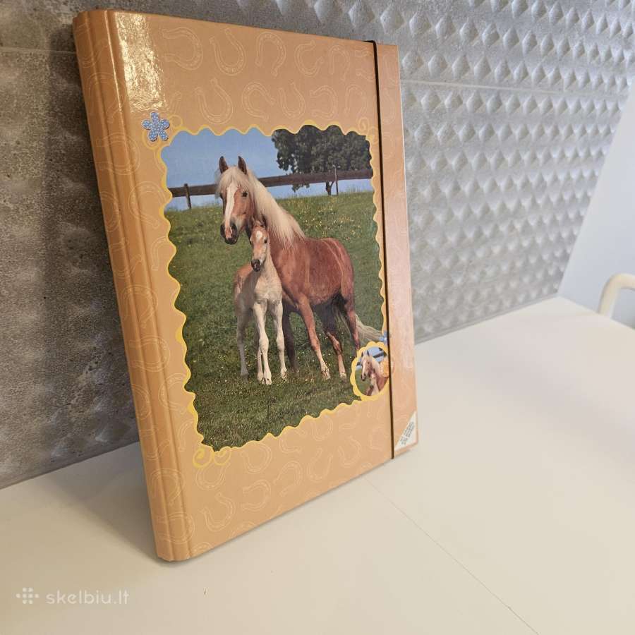 A4 Formato aplankas papkė sąsiuviniams nauja