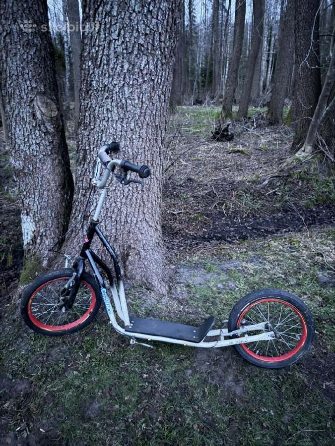 Paspirtukas