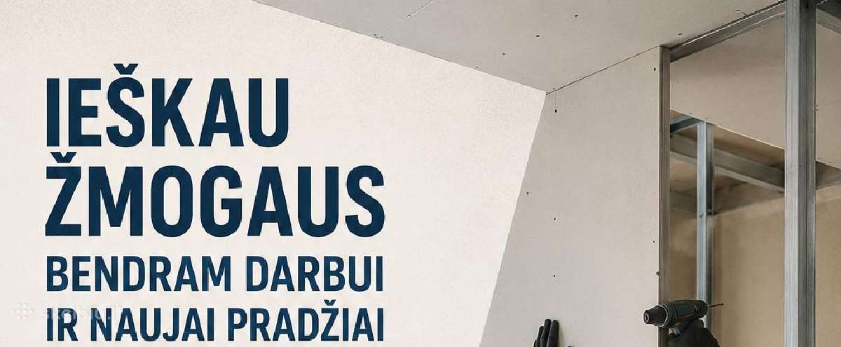 Ieškau žmogaus bendram darbui