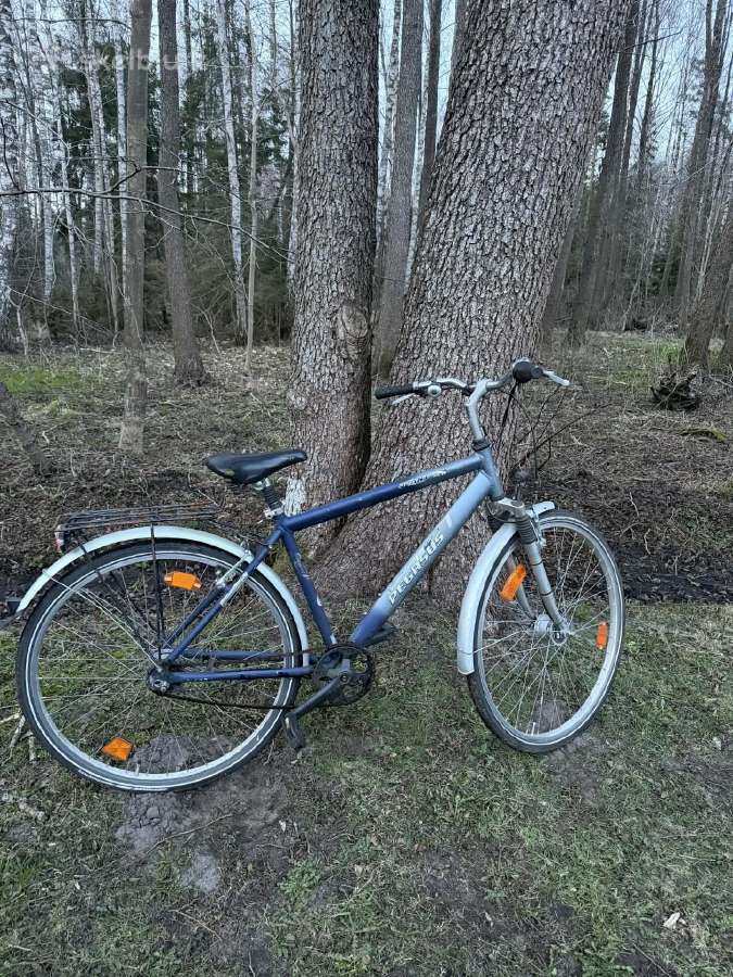 Dviračiai po 50e