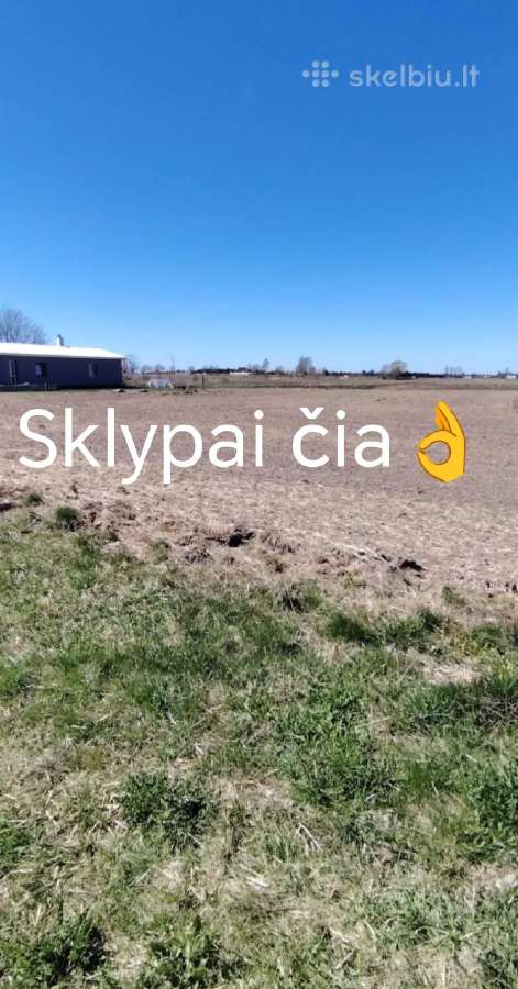 Parduodami sklypai