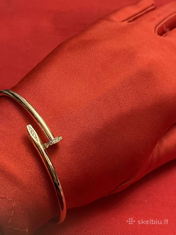 Prabangi išskirtinė auksinė kaklo koljė Vinis - nuotraukos Nr. 21
